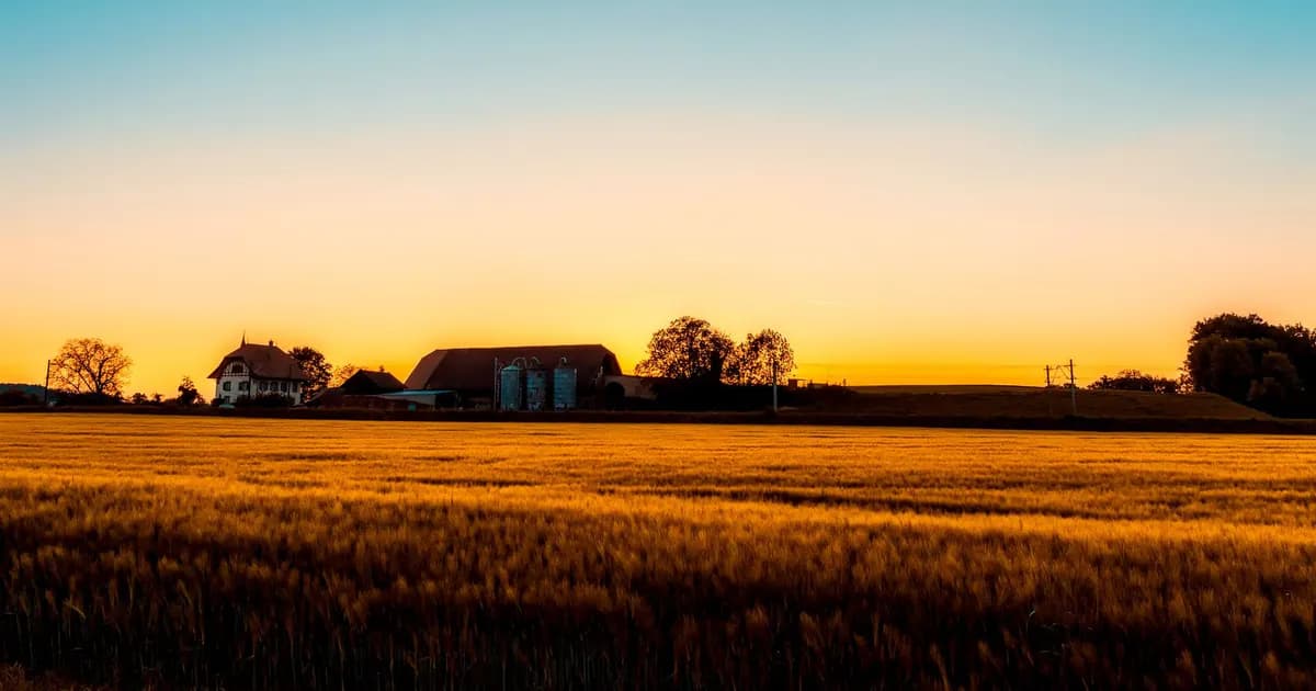 Golden fields and farm structures at sunset create a tranquil rural scene
