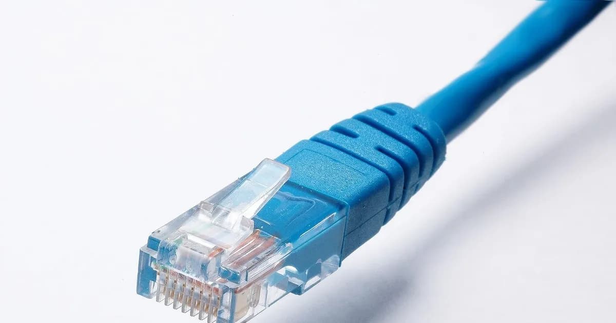 Blue ethernet cable with a clear RJ45 connector against a plain white background