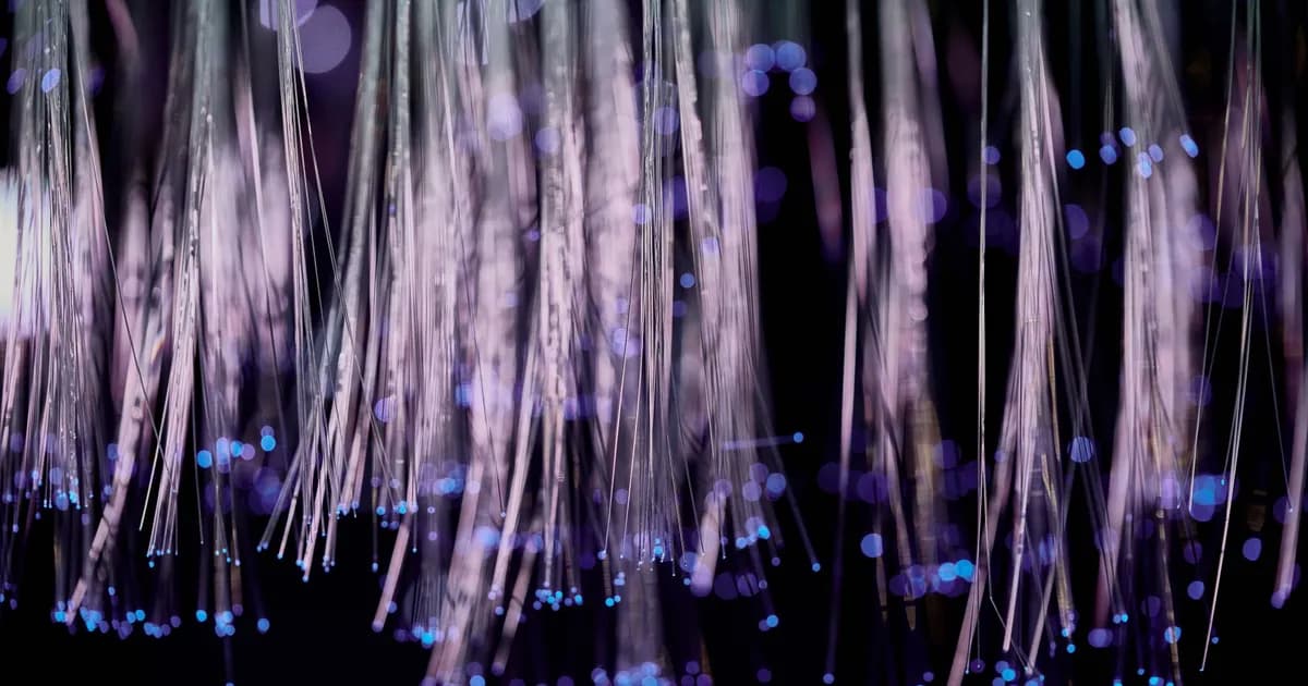 Purple and blue fiber optic strands glowing at the tips against darkness