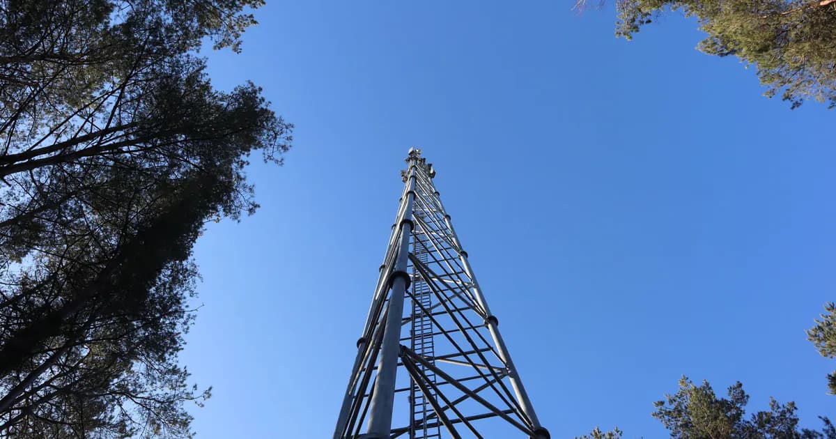 A towering steel communication structure reaching into the clear blue sky surrounded by trees