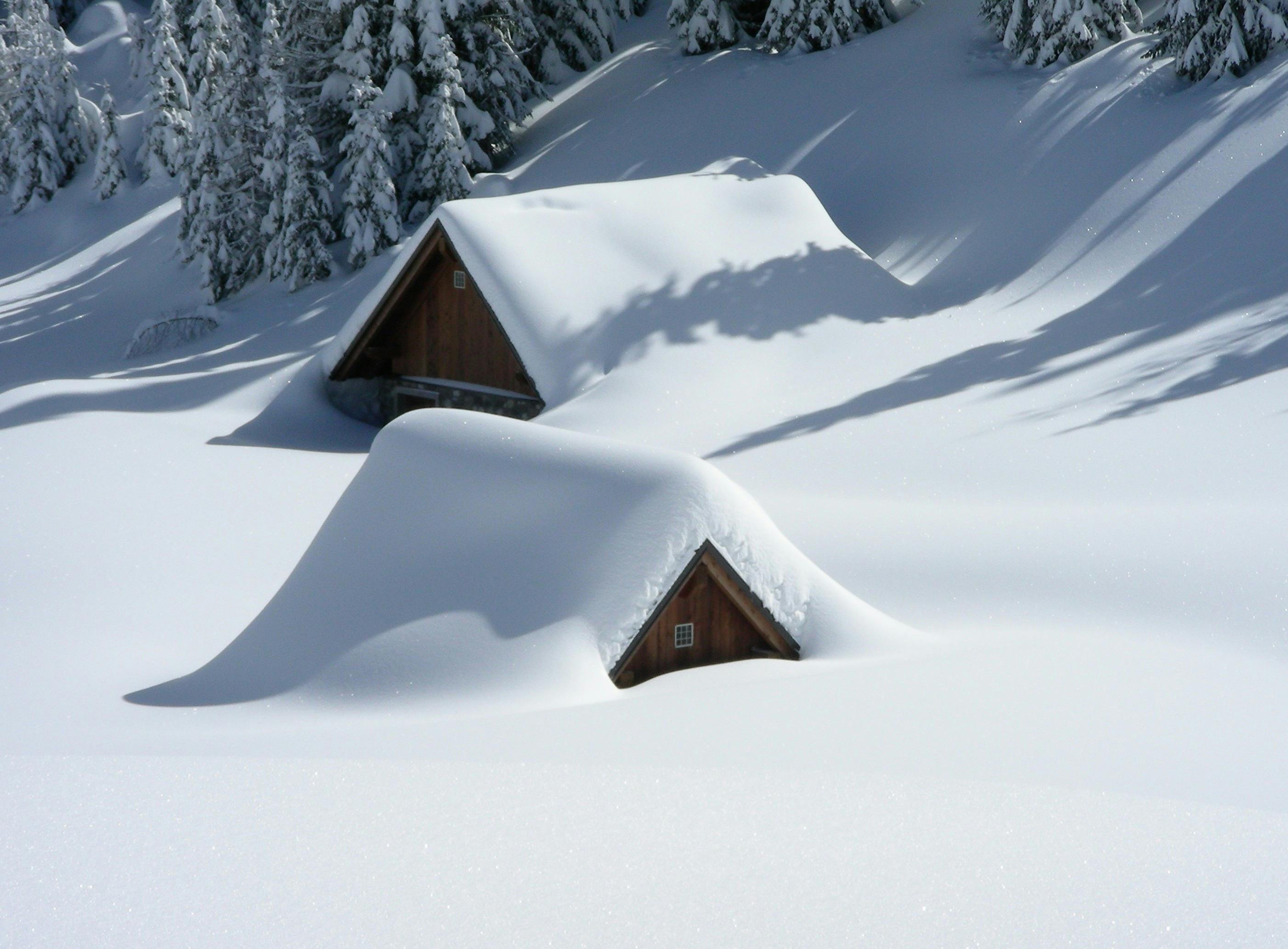 Kinetic’s Holiday Connection: Speeding Up the Season or Stuck in the Snow?