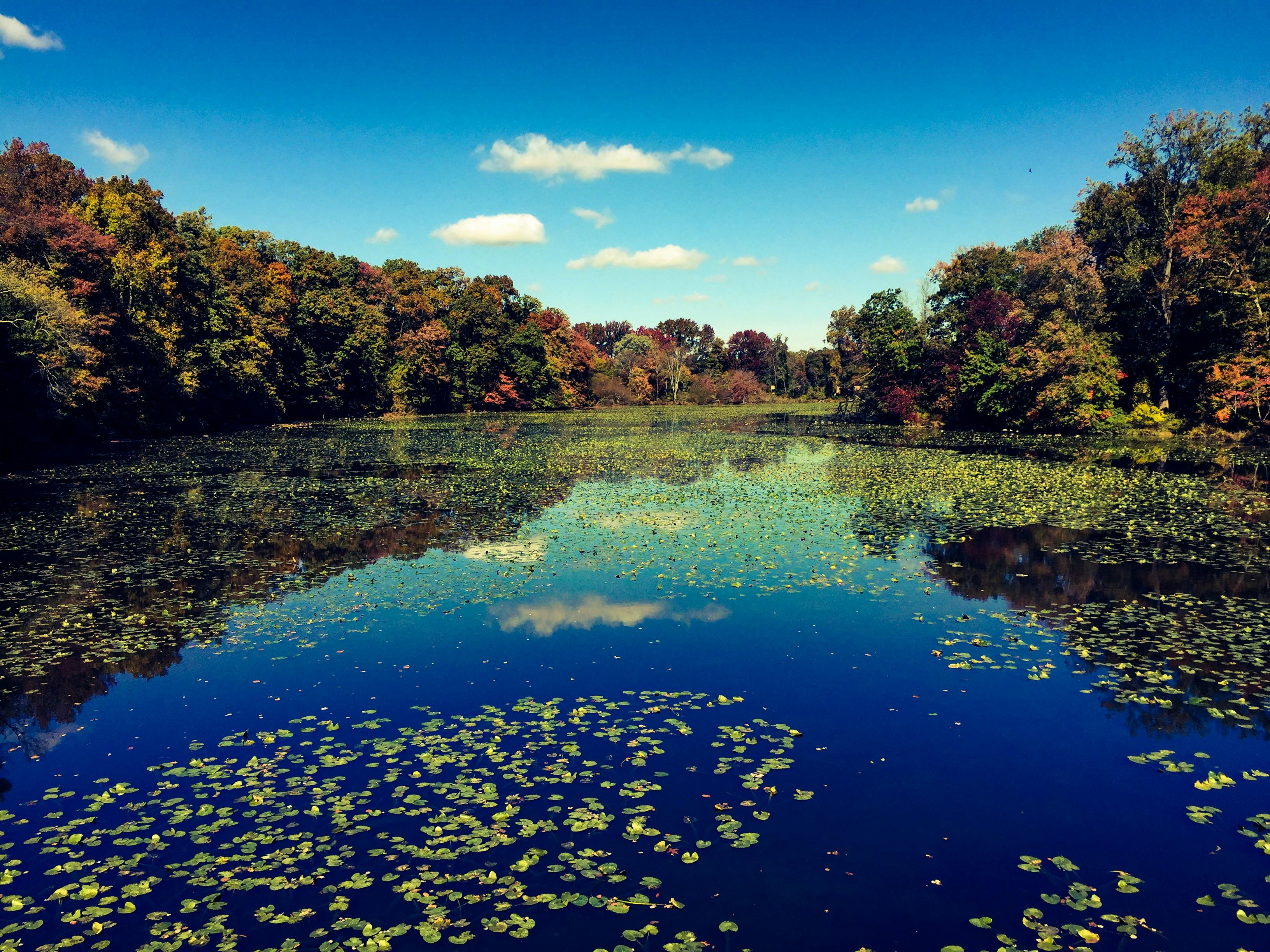 Delaware: Small State, Big Speeds—Xfinity Offers It All